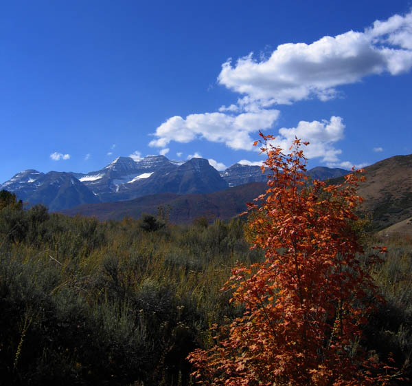 Mt. Timpanogos
